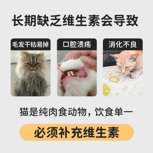 小宠 猫用益生菌复合维生素片 200片/瓶  营养保健 毛发干枯 口腔溃疡 消化不良 商品图1