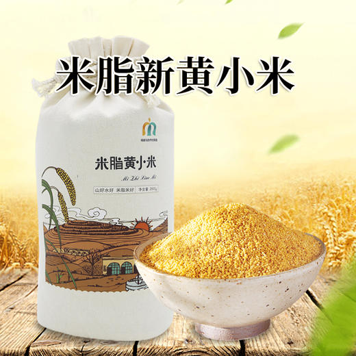 正宗陕北米脂新黄小米布袋装 香滑软糯 口感粘稠 来自陕北革命老区的馈赠 商品图9