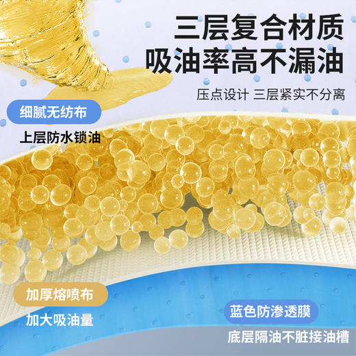 丽必政油烟机吸油棉方便实用10片颜色随机单包 商品图2