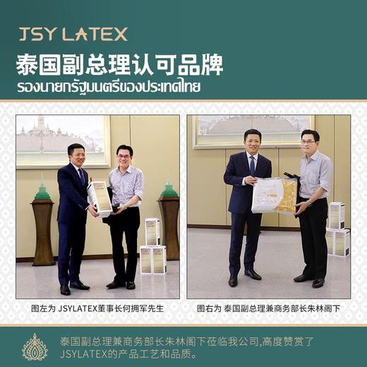 Jsylatex泰国原产进口乳胶枕头天然橡胶枕芯护颈椎成人按摩高低枕头 商品图1