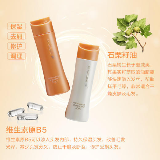 安利个人护理旅行装 (雅蜜 +丝婷） 商品图3