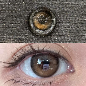 Chonos微光晨曦（日抛）