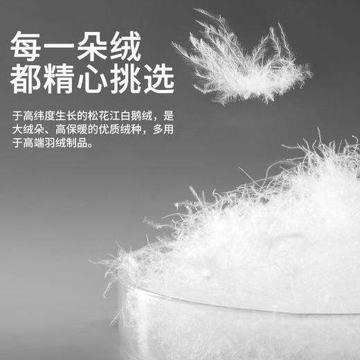 佳丽斯鹅绒羽绒被95白鹅绒冬被芯加厚保暖抑菌鹅绒被子轻柔御寒 商品图1