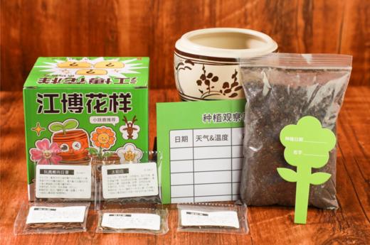 江博花样植物盲盒 商品图1