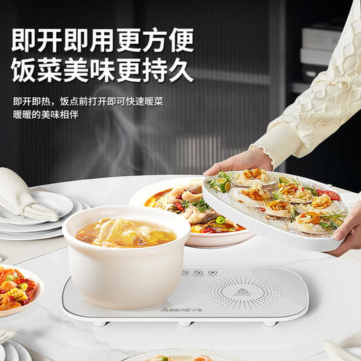 艾贝丽 暖菜板 ABL-NC799 商品图2