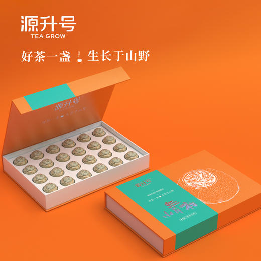 源升号—小青柑普洱茶 商品图0