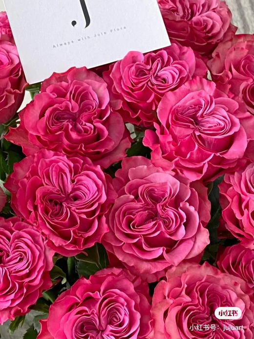 国产玫瑰-【蓝调】 商品图1