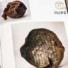 【绝版好书】《宜兴紫砂陶艺》大16开精装226页，1992年台南天书局 商品缩略图6