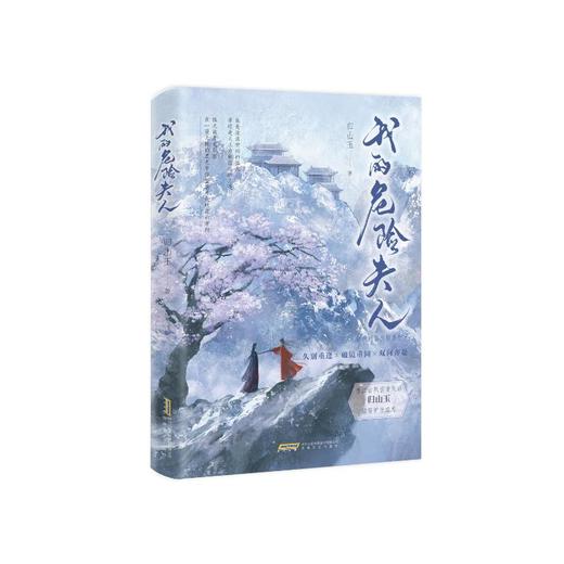 我的危险夫人 商品图0