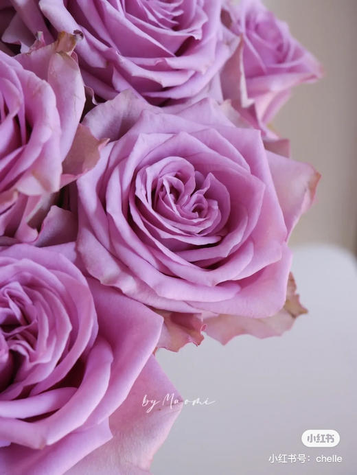 国产玫瑰-【紫霞仙子】 商品图2