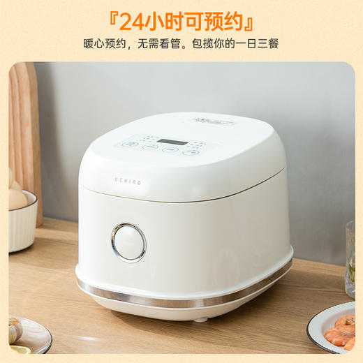 内野 微电脑电饭煲 HU-GFB30-02 商品图4