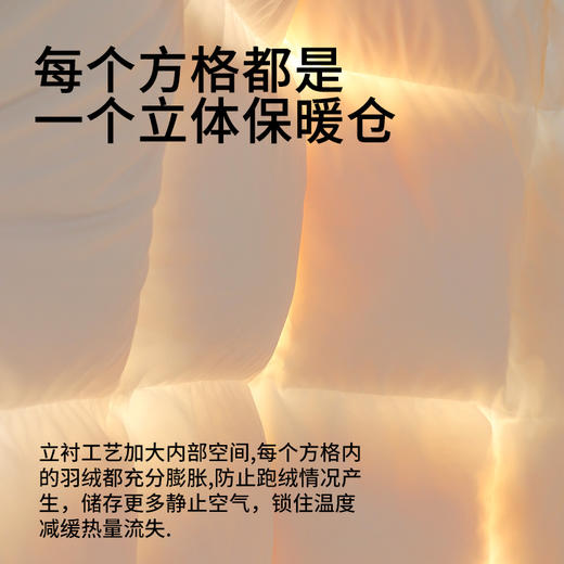 佳丽斯鹅绒羽绒被95白鹅绒冬被芯加厚保暖抑菌鹅绒被子轻柔御寒 商品图6
