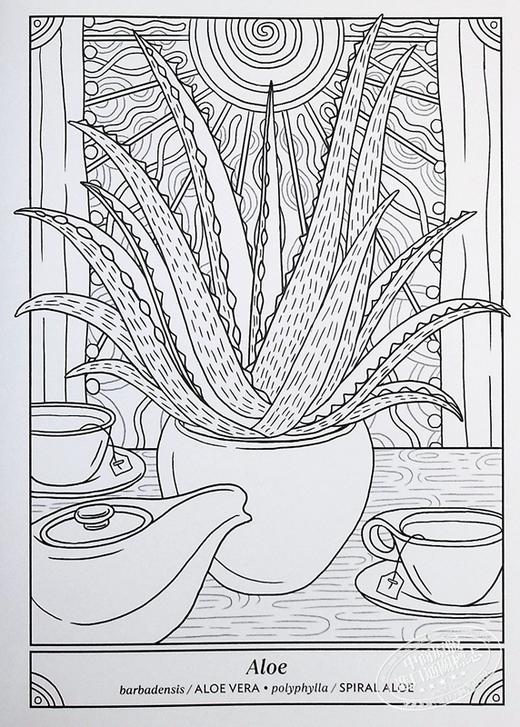 【中商原版】快乐室内植物涂色书 50种植物涂色和护理 The Happy Houseplant Coloring Book 英文原版 Caitlin Keegan 科普填色 商品图5