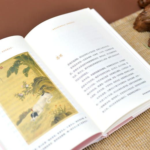 看清生活的真相之后,依然热爱生活 彩插精装版 商品图3