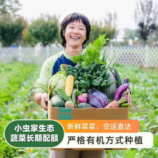 生态蔬菜包体验配额 | 合作农友生产，产自陕西咸阳，生产者：郑力行 *【公平贸易农人定价】 | 全过程有机标准种植，全年60-80种菜品，顺丰空运，每次自选3-10种蔬菜 商品图0