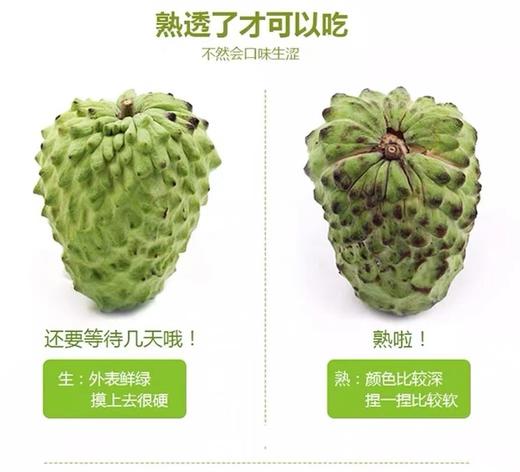 冰淇淋凤梨释迦，大个头一个约一斤12个/件。 商品图2