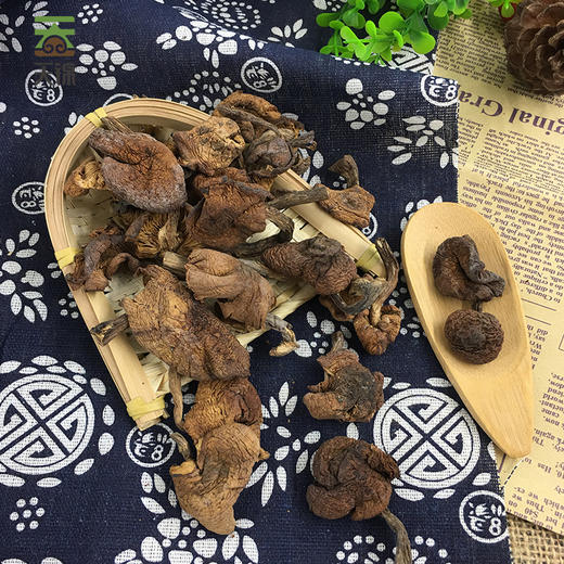 丨有机丨有机榛蘑 来自大兴安岭  天锦菌菇 商品图5