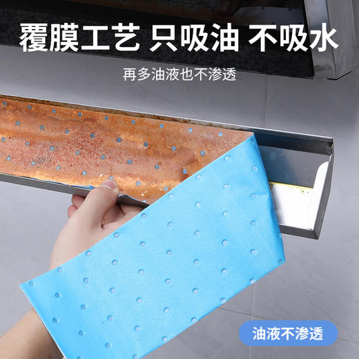 丽必政油烟机吸油棉方便实用10片颜色随机单包 商品图1