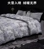 【6F】宜庭｜守望者进口鹅绒四季被 商品缩略图0