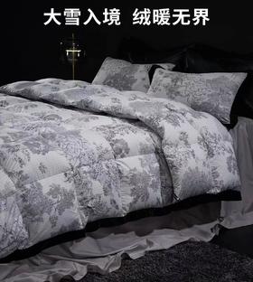【6F】宜庭｜守望者进口鹅绒四季被