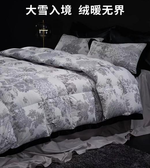 【6F】宜庭｜守望者进口鹅绒四季被 商品图0