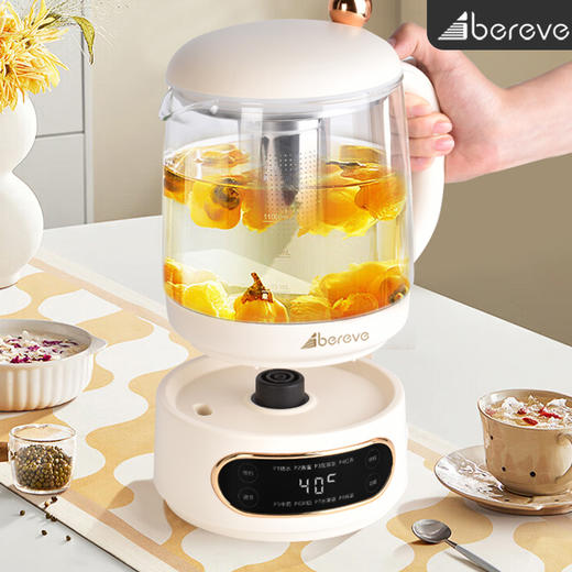 艾贝丽 多功能养生壶 ABL-YSH016 商品图2