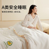佳丽斯大豆二合一A类大豆子母被大豆纤维被四季通用被芯秋冬被子 商品缩略图3