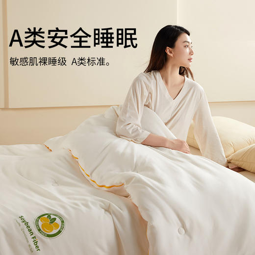 佳丽斯大豆二合一A类大豆子母被大豆纤维被四季通用被芯秋冬被子 商品图3