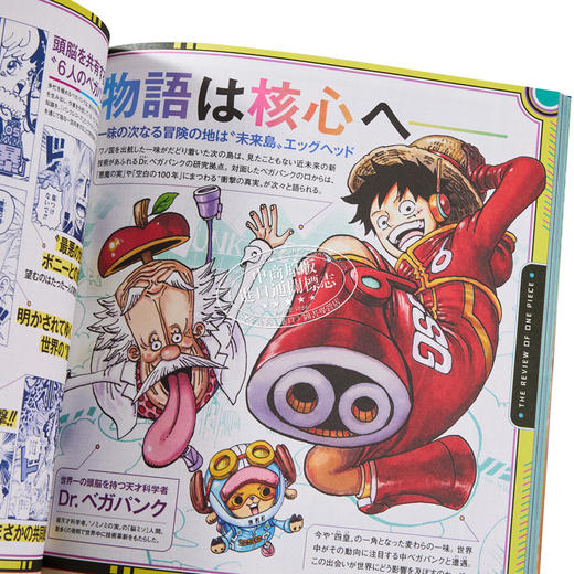 【中商原版】航海王特刊 17 尾田荣一郎 集英社 ONE PIECE magazine 海贼王 ワンピース 路飞 索隆 山治 日文原版 商品图2