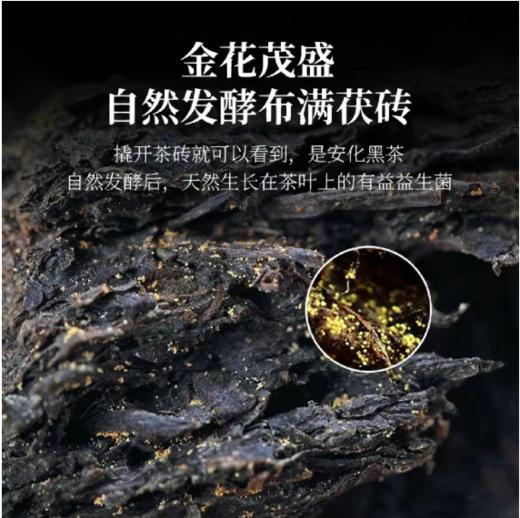 黑茶始祖湖南安化黑茶980克/盒 全国包邮 商品图4