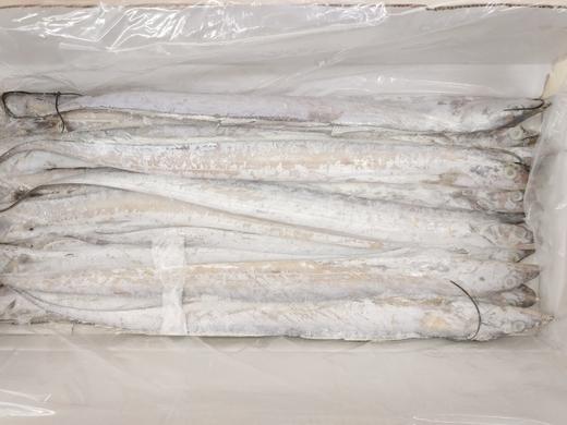 红箱带鱼（刀鱼）一箱 商品图1