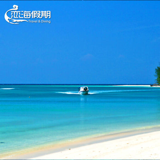 海洋 美人鱼岛浮潜+在水一方KAWA萤火虫一日游 商品图5