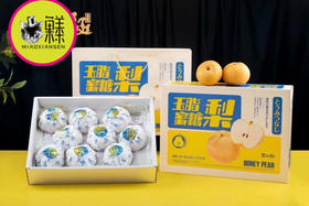玉脂蜜糖梨（秋月梨2代）8枚一箱