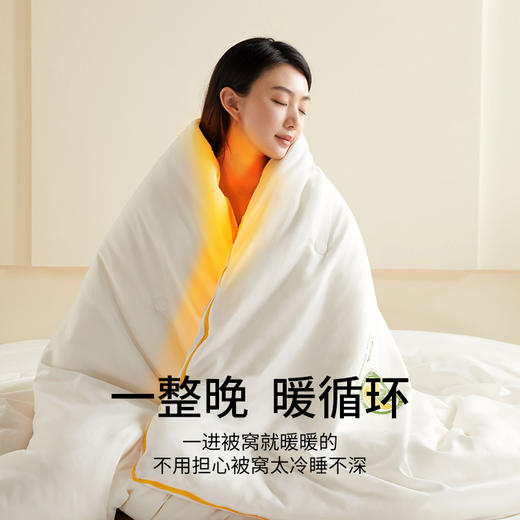 佳丽斯大豆二合一A类大豆子母被大豆纤维被四季通用被芯秋冬被子 商品图4
