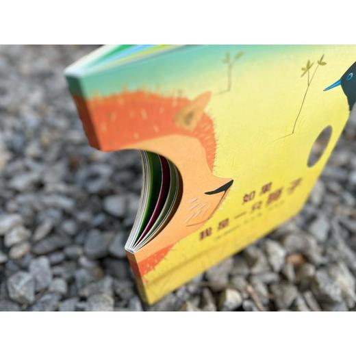 如果我是一只狮子 商品图1