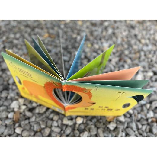 如果我是一只狮子 商品图4