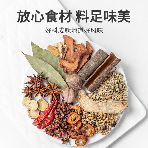 【方家铺子】 卤料包135g 14种配料 炖肉料包卤肉调料包卤水汁调味料15g*9包 商品图1