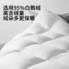 佳丽斯鹅绒羽绒被95白鹅绒冬被芯加厚保暖抑菌鹅绒被子轻柔御寒 商品缩略图2