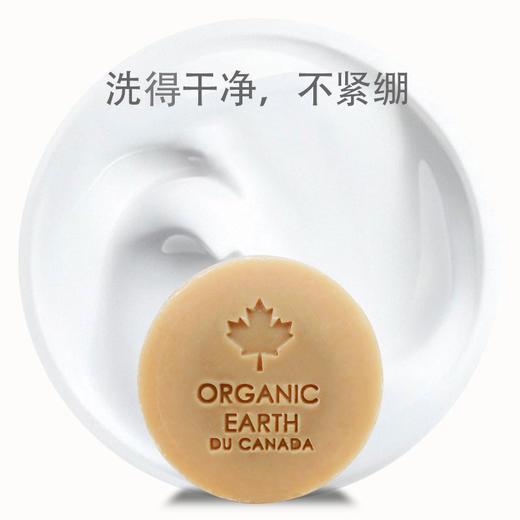 有机地球乳木果洁肤皂75g 商品图3