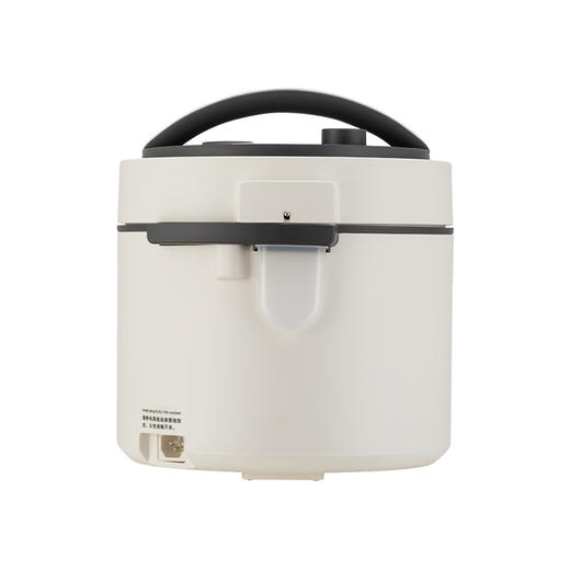 ACA 电压力锅 ALY-G40DY08D 商品图1