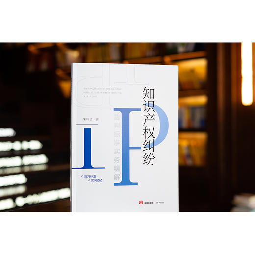 知识产权纠纷裁判标准实务精解  朱玮洁著  法律出版社 商品图0