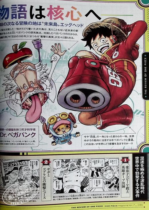 【中商原版】航海王特刊 17 尾田荣一郎 集英社 ONE PIECE magazine 海贼王 ワンピース 路飞 索隆 山治 日文原版 商品图6