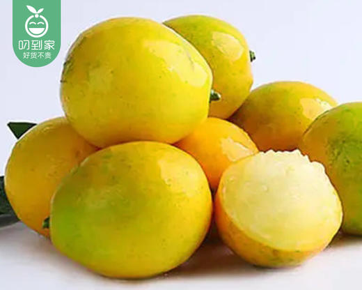 广西脆蜜金柑（中果）/1份（约300g） 商品图2