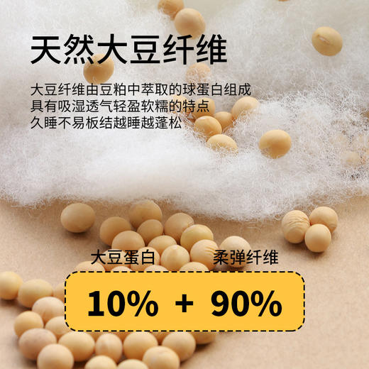 佳丽斯大豆二合一A类大豆子母被大豆纤维被四季通用被芯秋冬被子 商品图2