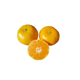 马水桔约1.4~1.5kg/份