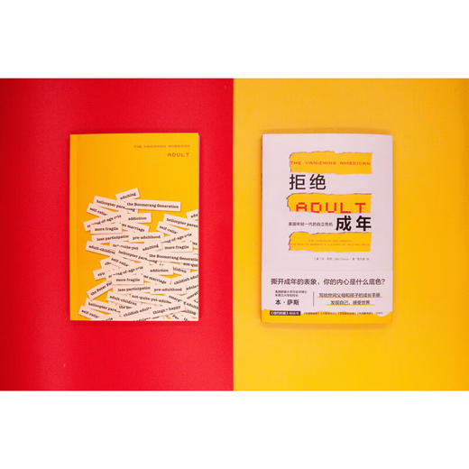拒绝成年：美国年轻一代的自立危机 商品图2