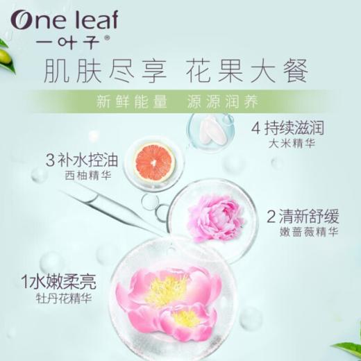 一叶子光感透润水嫩面膜25ml*5片-2631新老包装随机发 商品图4