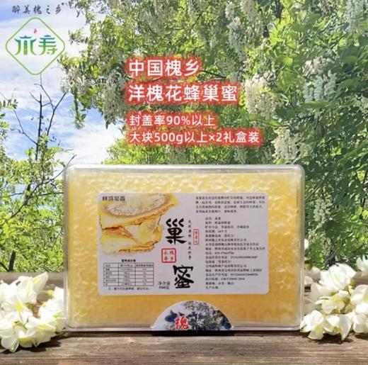 槐山巢蜜500g*2（山巢蜜洋槐花巢蜜成熟封盖蜂蜜优质营养食用散装果蜜原生态浓香） 商品图3