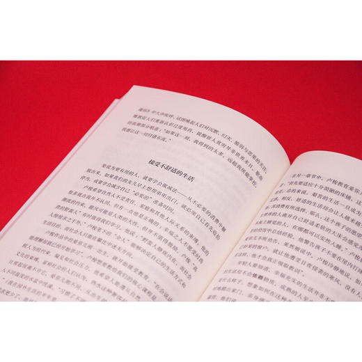 拒绝成年：美国年轻一代的自立危机 商品图3