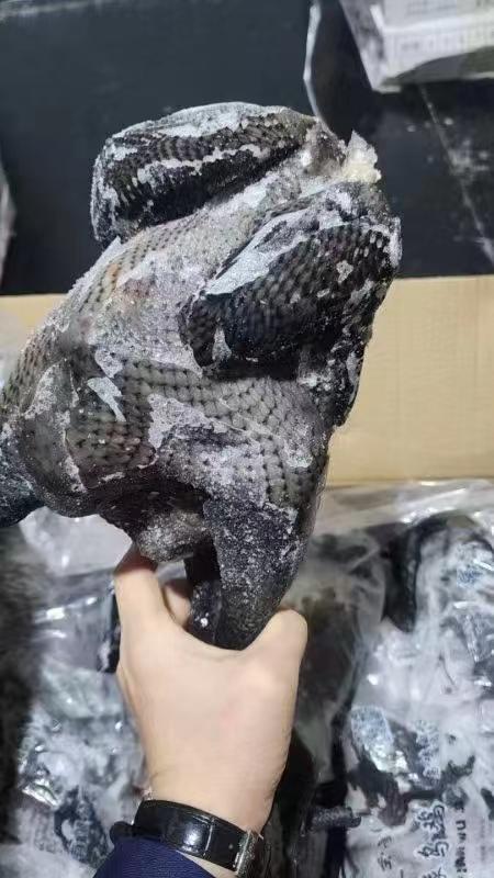 乌鸡一只 商品图3